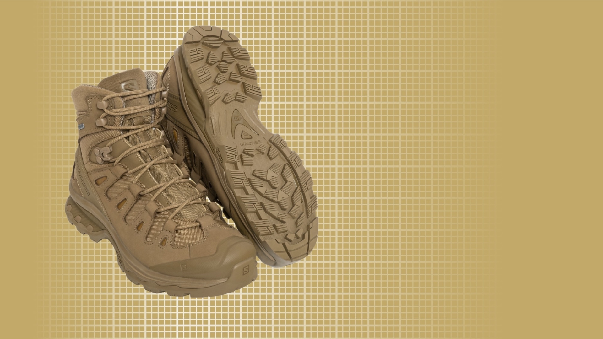 ЧЕРЕВИКИ SALOMON QUEST 4D GTX FORCES 2 COYOTE BROWN
