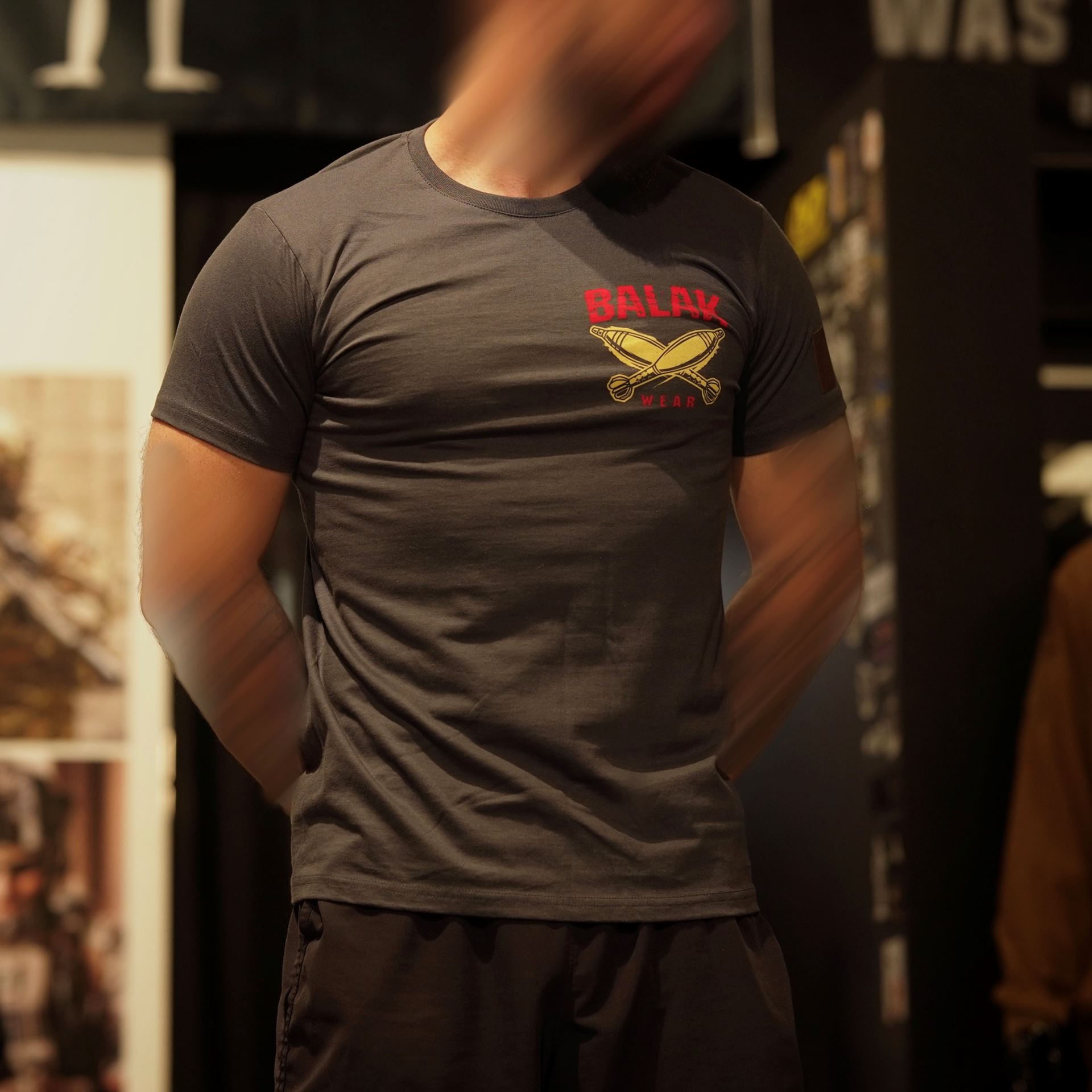 Футболка Balak-wear “Destroyer” grey