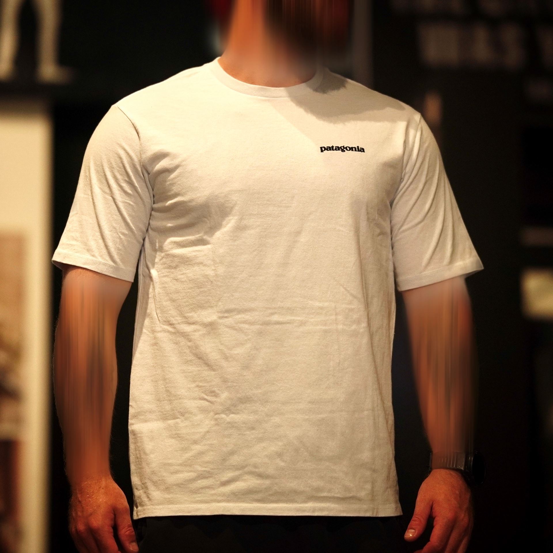 Футболка чоловіча Patagonia P-6 Logo Responsibili Tee White