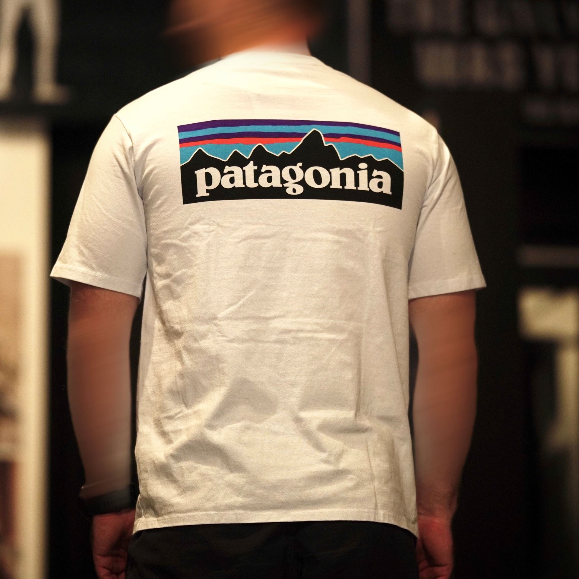 Футболка чоловіча Patagonia P-6 Logo Responsibili Tee White